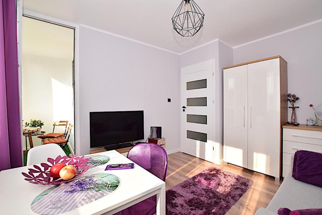 Apartment Nad Struga Torun