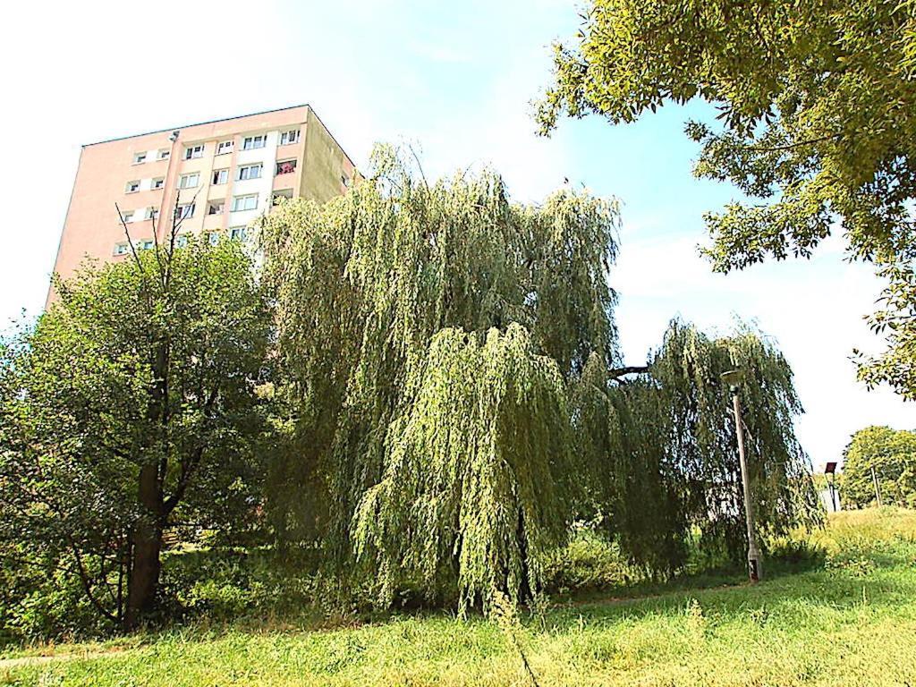 Nad Struga * Torun